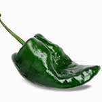 poblano-chili