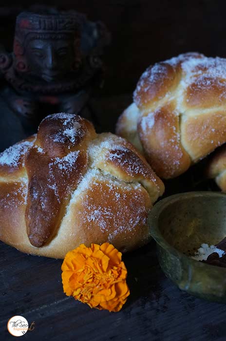 pandemuerto_featured6